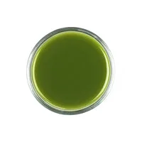 MATCHA GREEN TEA - CEREMONIAL GRADE - Image 3